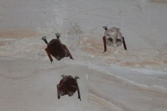 Песчаные пещеры Пиуза. На стенах «развеш