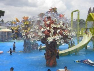 Цветущее деревов бассейне