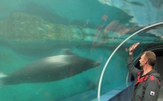 Пока ходишь по музею-парку, рассматривае