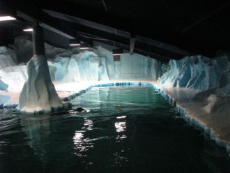 Бассейн.Арктический парк-музей 