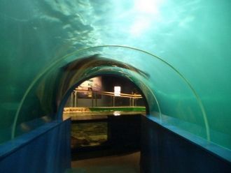 Арктический парк «Полярия» в Тромсе: зна