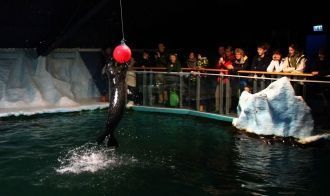 Арктический парк-музей 