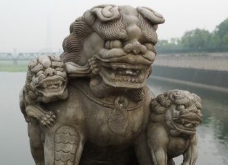 Абсолютно каждый из львов не похож на др