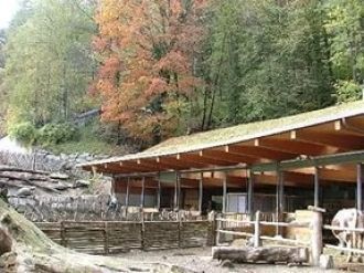 В 1984 году при зоопарке была открыта зо