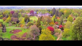 Весна в Вэйкхерст-Плейс.