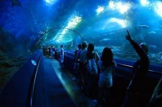 Сиднейский аквариум (Sydney Aquarium) вх