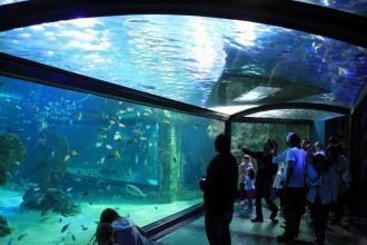 Сиднейский аквариум является одной из гл