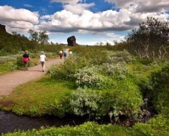 В парке произрастает до 230 видов растен