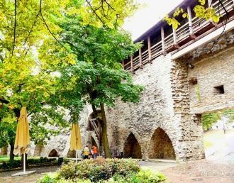 По красоте вида Сад датского короля, кон