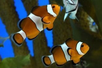 Посетив эту барселонскую достопримечател