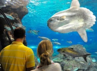 И хотя считается, что Средиземное море у