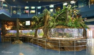 Комплекс имеет интересное предложение – 