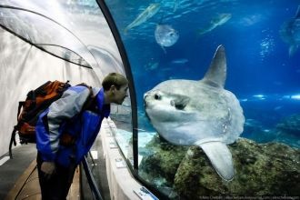 На территории комплекса расположено 35 р