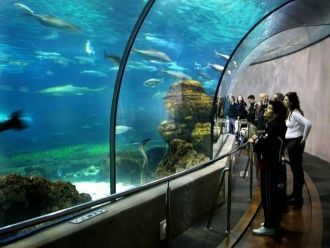 Со дня открытия Комплекса его уже посети