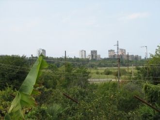 Вид со второго этажа дома-музея на Пицун