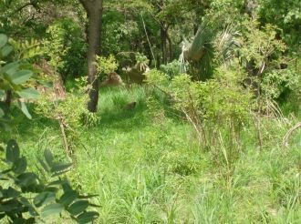 1 января 1954 года было принято решение 