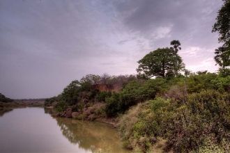 Территория парка покрыта саванной и полу