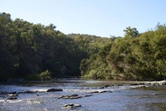 Флора Национального парк Ниоколо-Ко