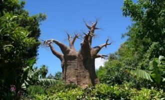 Нельзя сказать, что все эти места необит