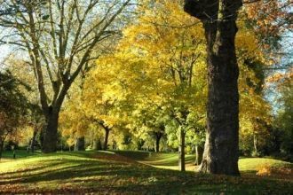 Уже к 1882 г., было принято решение сдел