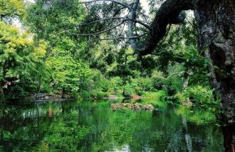 Дендрарий был подарен городу в 1840 году