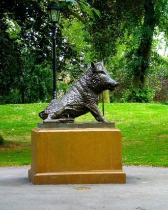 Работа над Дербским дендрарием началась 