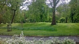 Во время Второй Мировой войны в дендрари