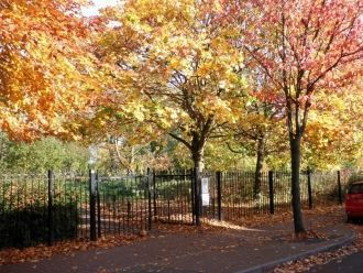 В дербском дендрарии обитают белки и мно