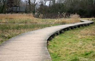 Значимой частью проекта является органич