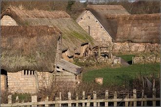 Косместон – это одна из самых интересных