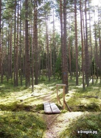 Протяженность маршрута составляет 6,4 км