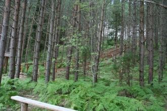 Тропа помечена знаками и пояснительными 