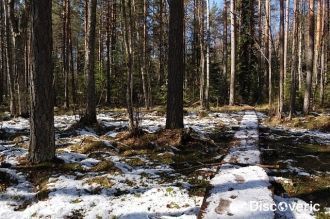 Природная тропа Нельятеэристи зимой в сн