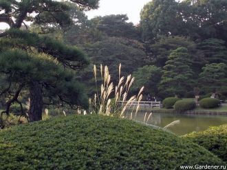 Еще один, совсем небольшой каменистый ос