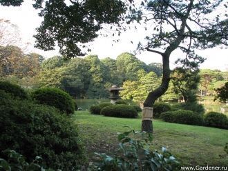 Самый большой из островов пруда носит на