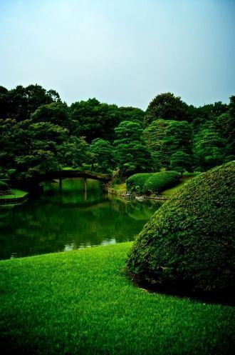 Площадь парка составляет сегодня около 9