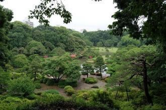 Центральное место в парке занимает небол