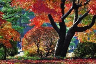 Многочисленные туристы, которым посчастл