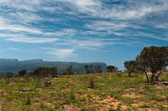В национальный парк Шушлуви-Умфолози вед