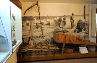 Наиболее ценными экспонатами в музее явл