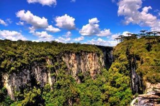 Верхние ярусы состоят преимущественно из