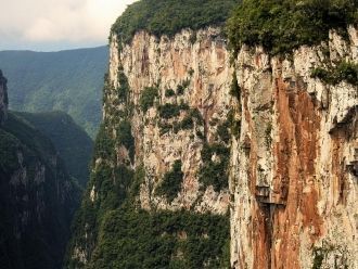 Удивляет не только разнообразие деревьев