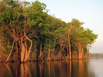 В 2003 году, после объединения с другими