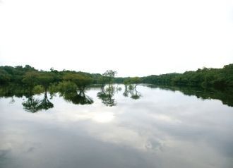 На разнообразие фауны так же оказывают с