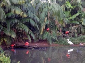 И животный мир здесь тоже представлен мн