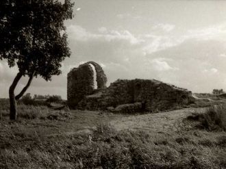 Роза до сих пор сидит на золотом троне в