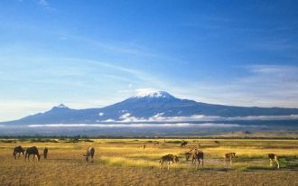 В то же время, несмотря на обычную плодо
