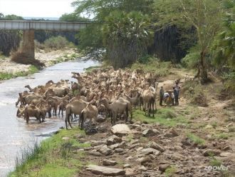 В первую очередь ландшафт Амбосели сформ