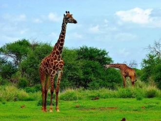 Несмотря на внешнюю сухость, в этих мест