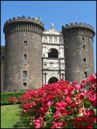 О том, что замок являлся королевской рез